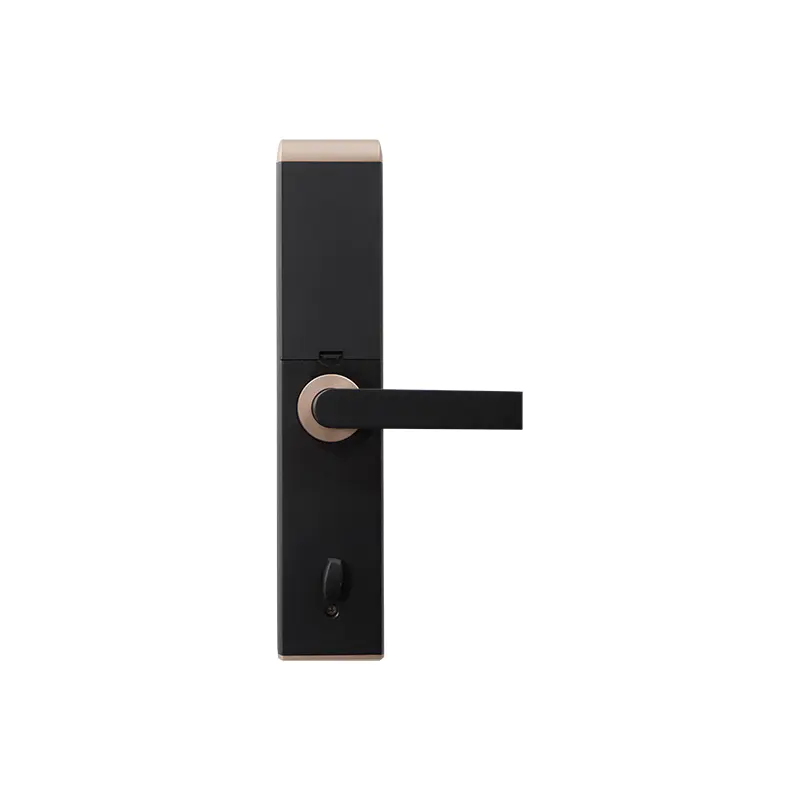 DM6A7787 DM6A7787 Electronic Door Locks with Safety
